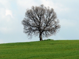 La Felicit&agrave; come nuovo paradigma di sviluppo