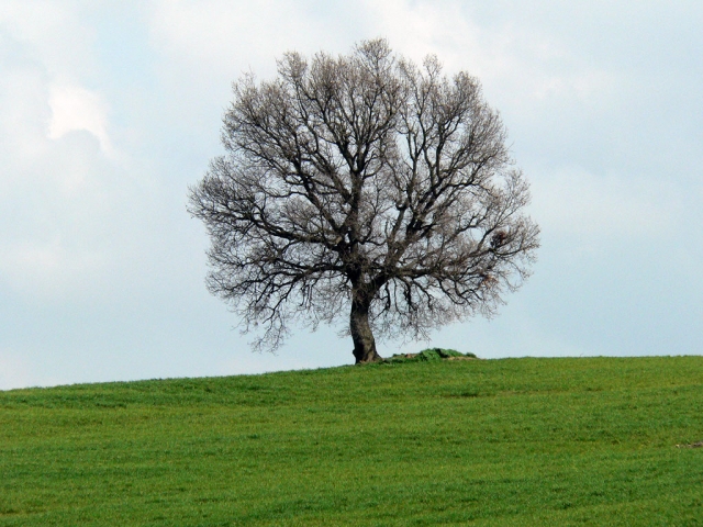 La Felicit&agrave; come nuovo paradigma di sviluppo
